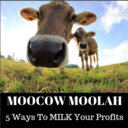 Moocow Moolah Review