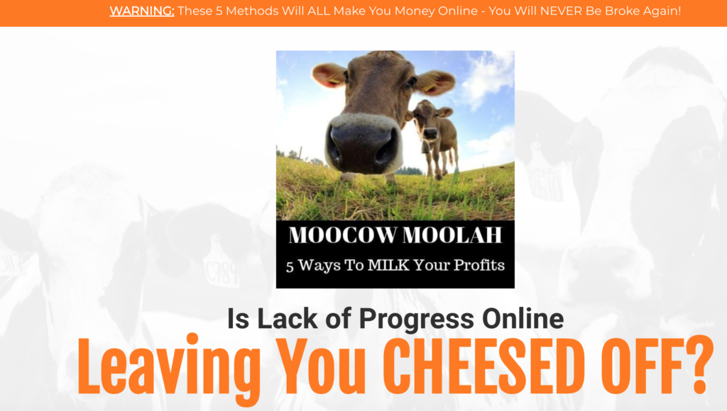 Moocow Moolah Review