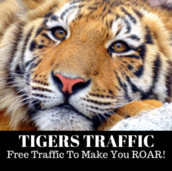 Tigers Traffic Review