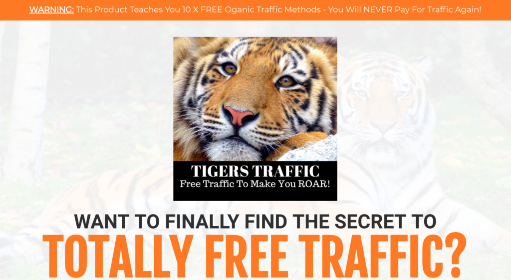 Tigers Traffic Review