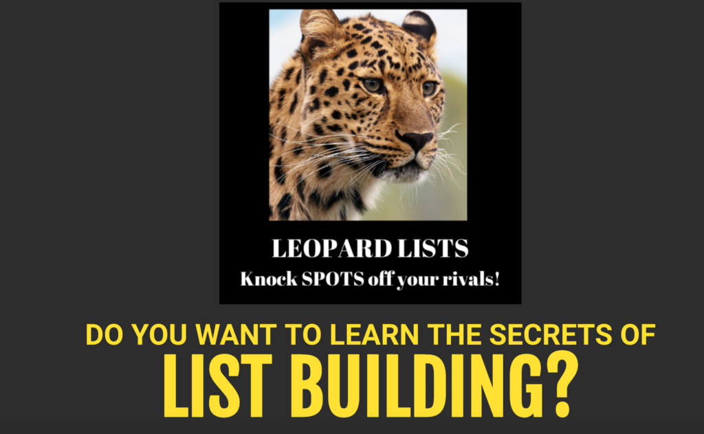 Leopard Lists Review
