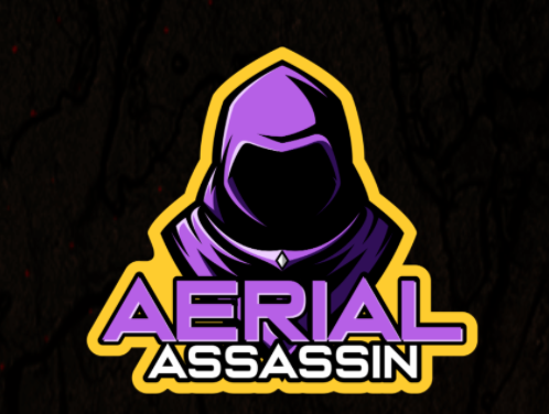 Aerial Assassin Review